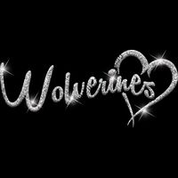 GLT6 SILVER GLITTER Thumbnail